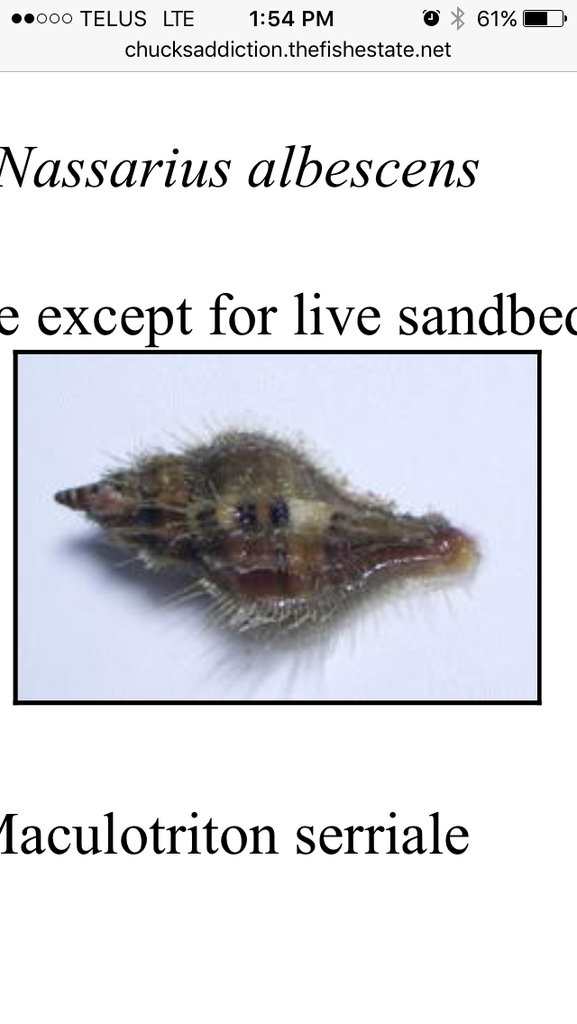 CCA98226-6AC5-411C-A9E9-4EADD80AC60F_zpsvaryvl9w.png