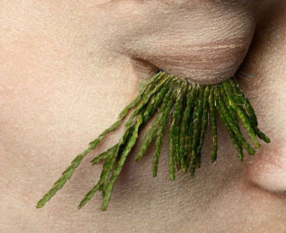  photo Fake-eyelashes-made-of-plants-know-what-natural-beauty-is-all-about31-650x531_zpsnyca0m0p.jpg