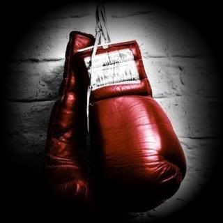 photo boxing_gloves-2_zpsc5b3bda7.jpg