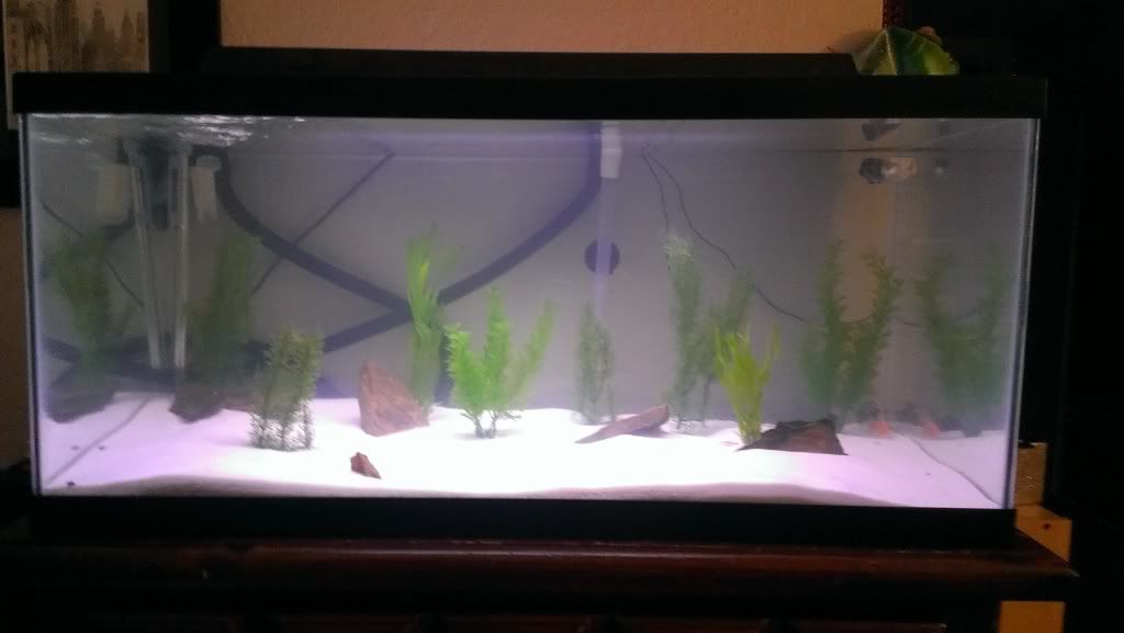 Archer Fish Cage Build Aquarium Forum