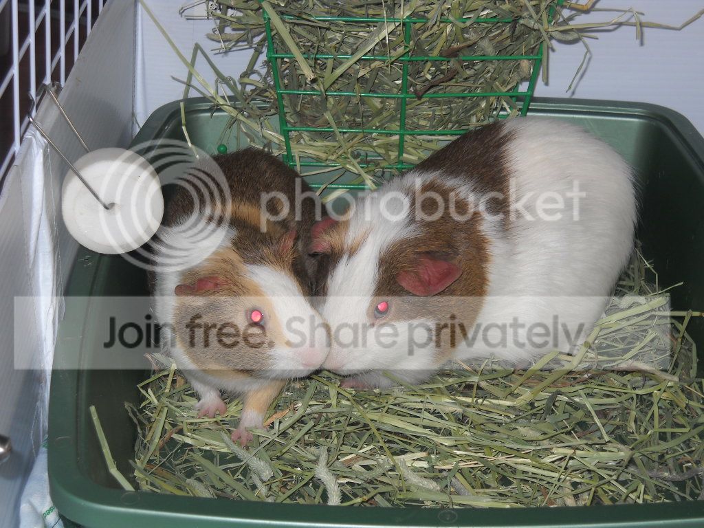 DSCN8149.jpg