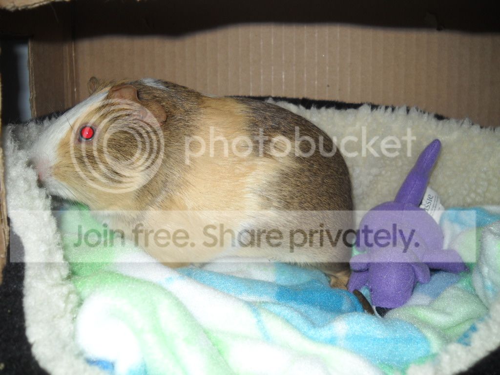 DSCN8162.jpg