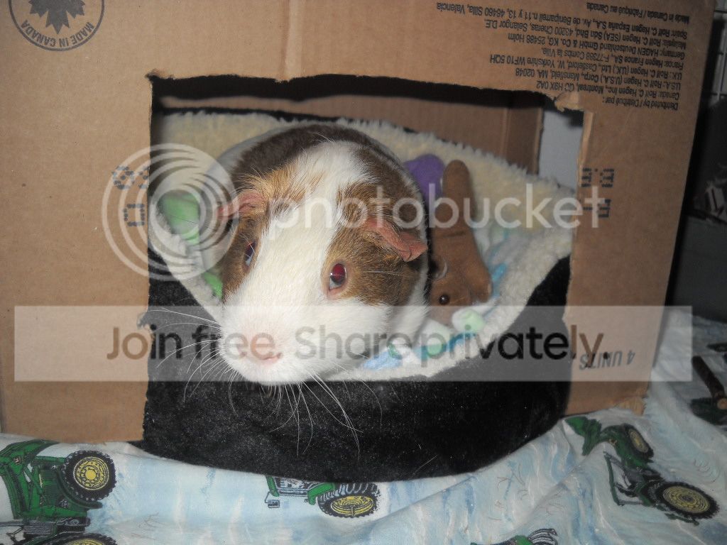 DSCN8175.jpg