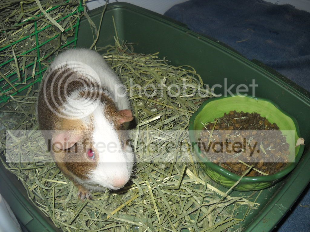 DSCN8179.jpg