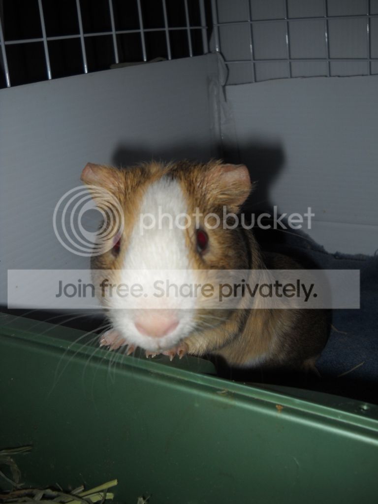 DSCN8181.jpg