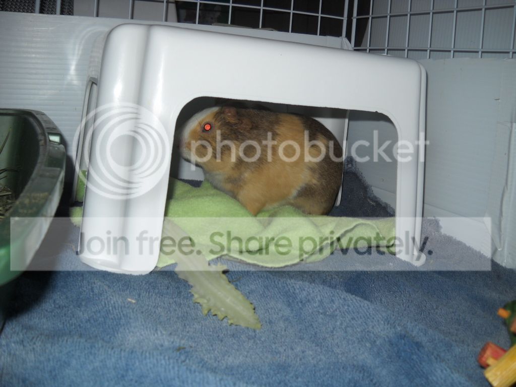 DSCN8195.jpg