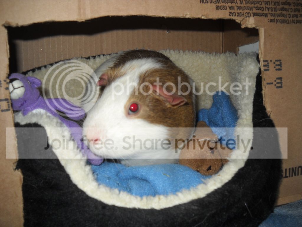 DSCN8197.jpg