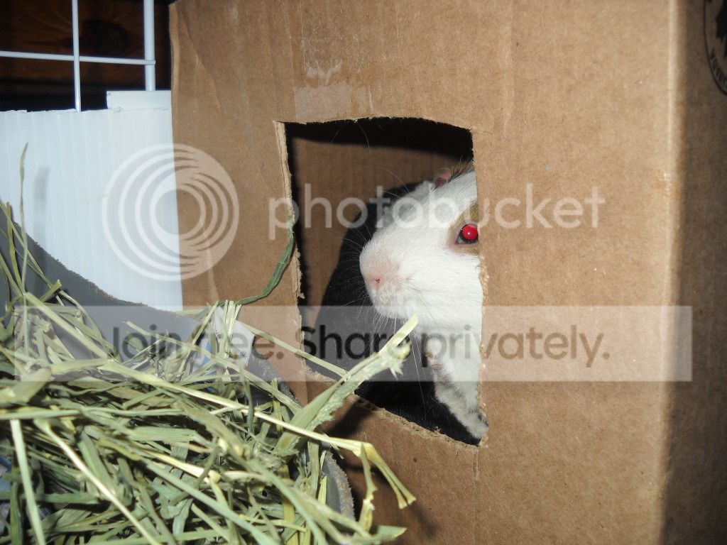 DSCN8199.jpg