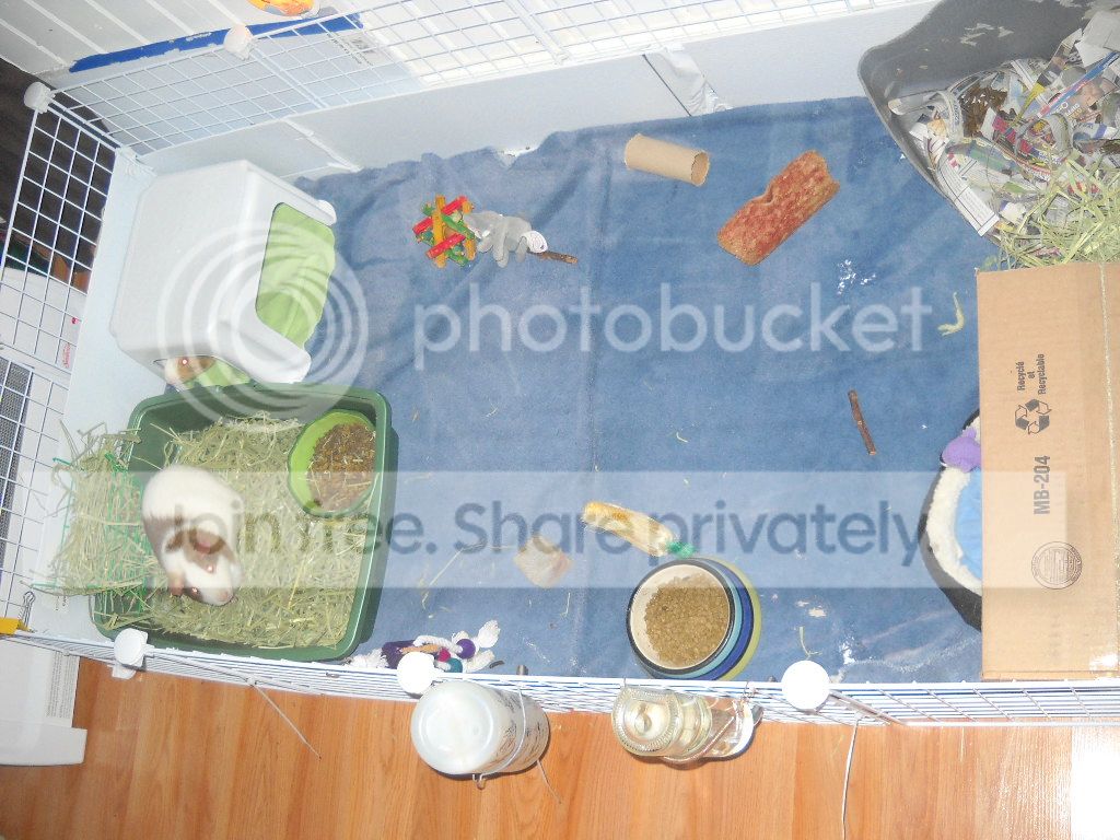 DSCN8206.jpg