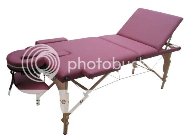 New Portable Reiki Massage Table Tattoo Spa Beauty Facial Bed Supply Chair