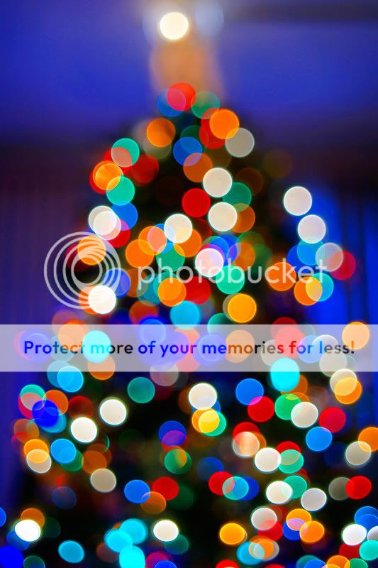Photobucket Pictures, Images and Photos