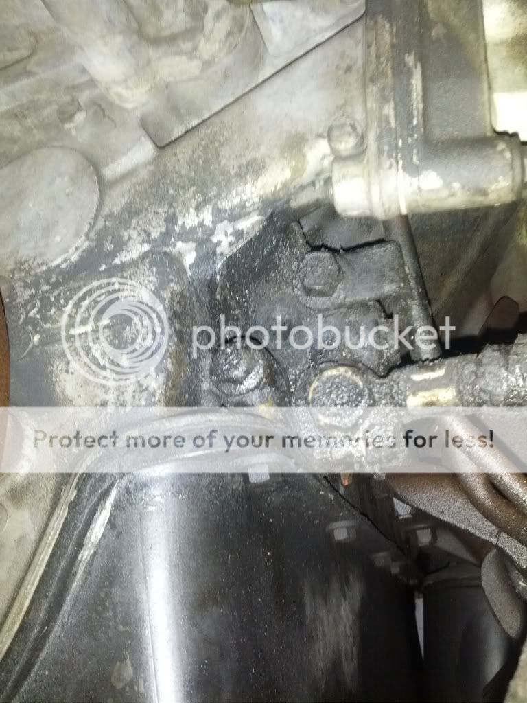 Where could this oil leak be coming from? - Ford Truck Enthusiasts Forums